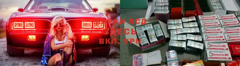 продажа наркотиков  Любим  блэк спрут как зайти  ЛСД экстази кислота 